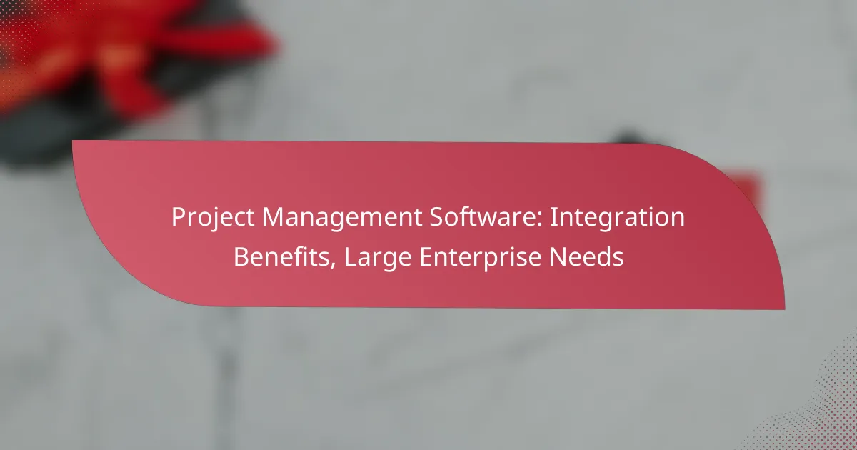 Project Management Software: Integration Benefits, Large Enterprise Needs