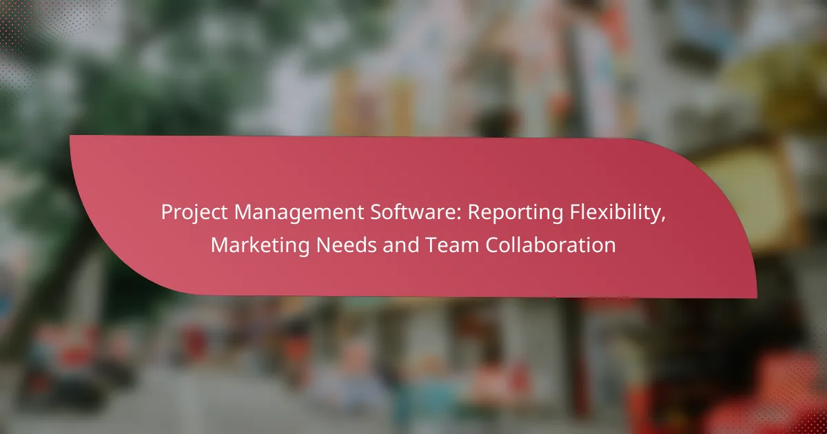 Project Management Software: Reporting Flexibility, Marketing Needs and Team Collaboration