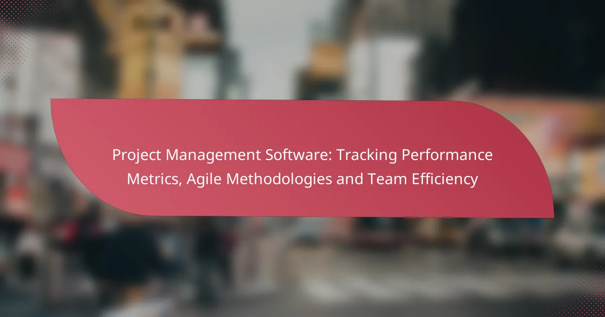 Project Management Software: Tracking Performance Metrics, Agile Methodologies and Team Efficiency
