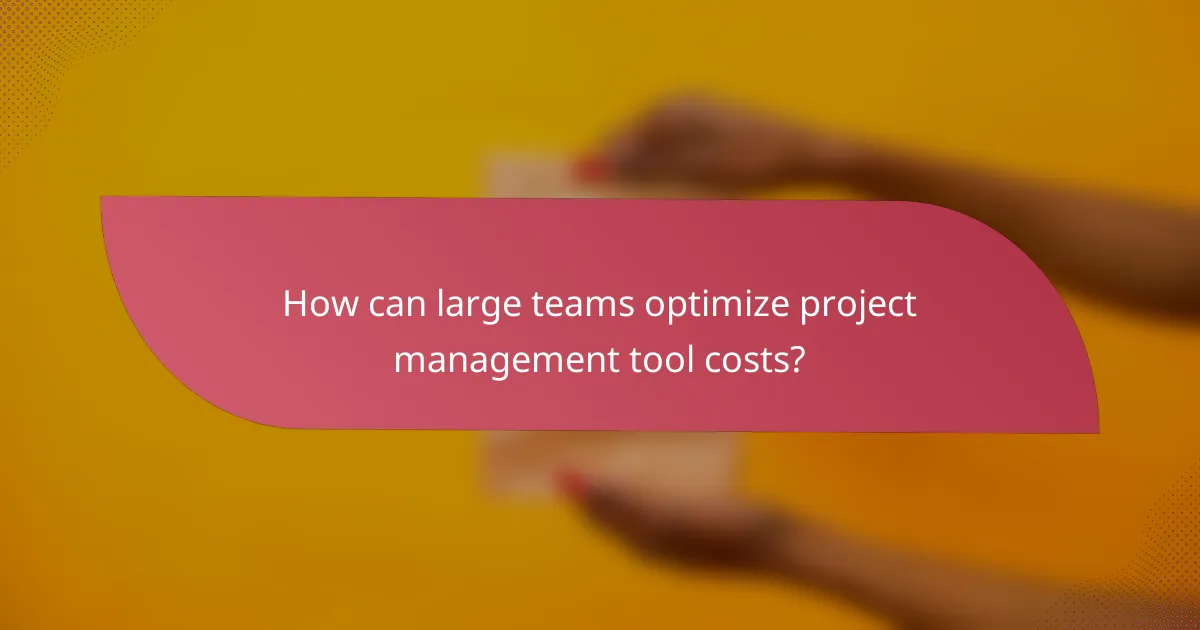 How can large teams optimize project management tool costs?