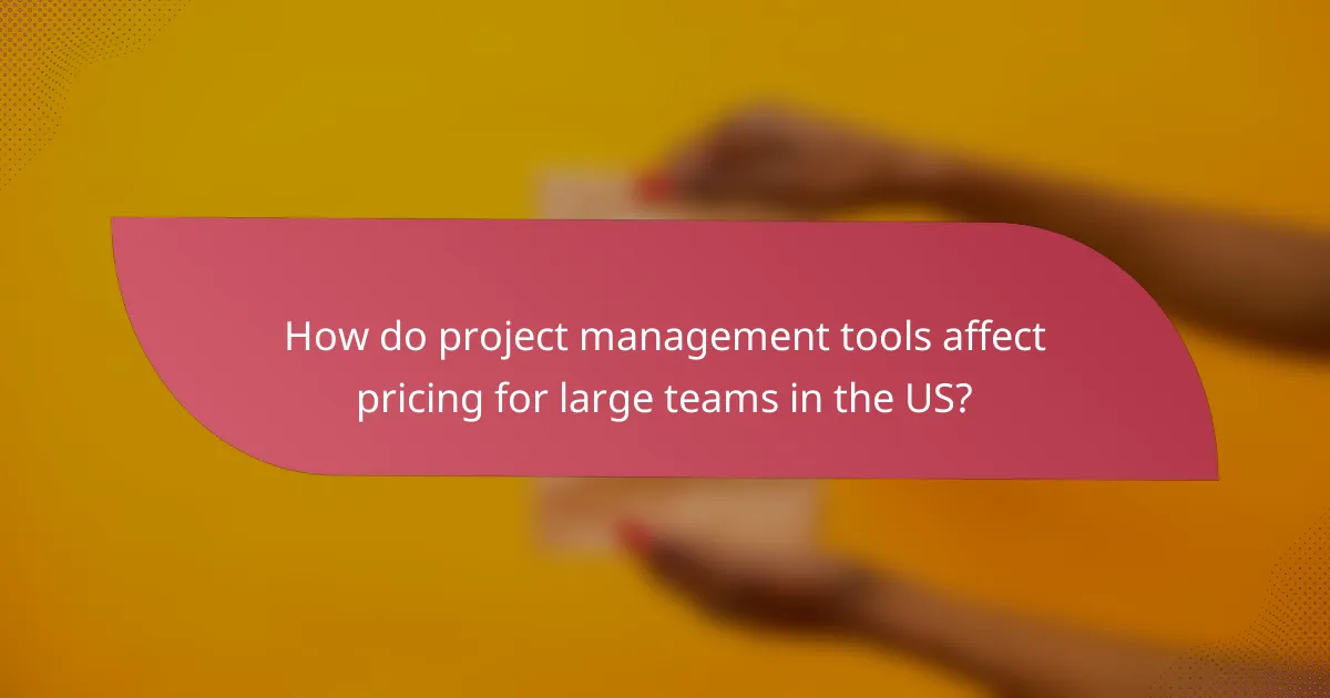 How do project management tools affect pricing for large teams in the US?