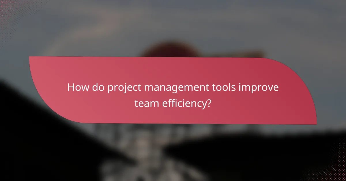 How do project management tools improve team efficiency?
