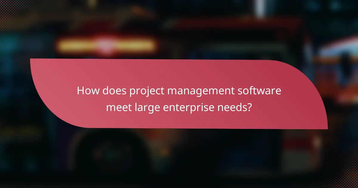 How does project management software meet large enterprise needs?