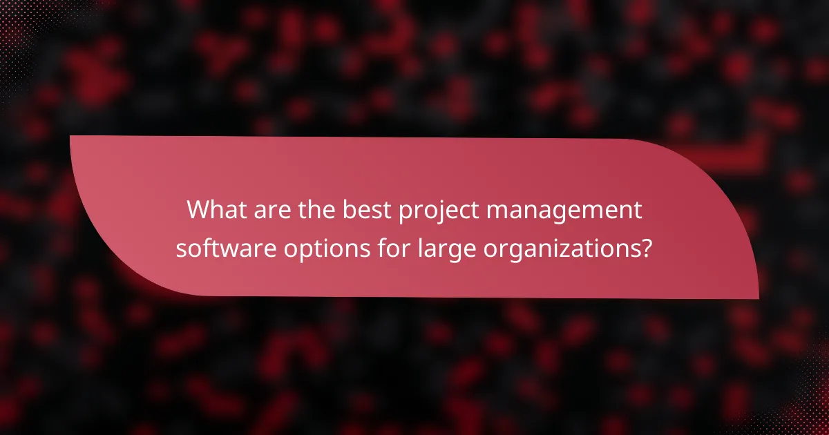 What are the best project management software options for large organizations?
