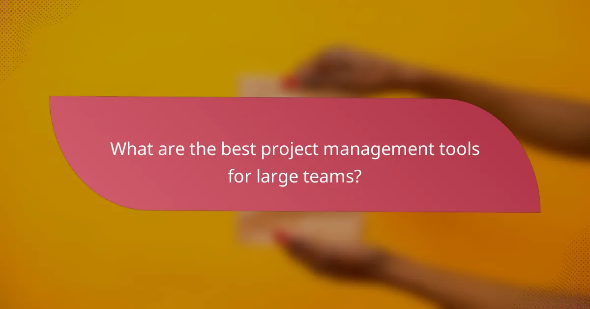 What are the best project management tools for large teams?