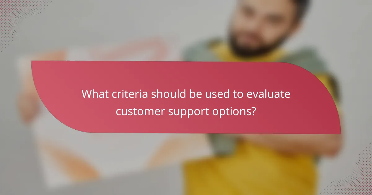 What criteria should be used to evaluate customer support options?