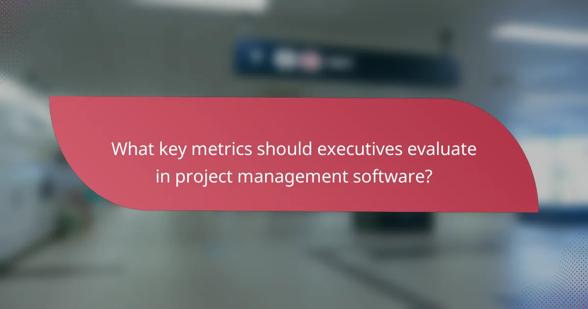 What key metrics should executives evaluate in project management software?